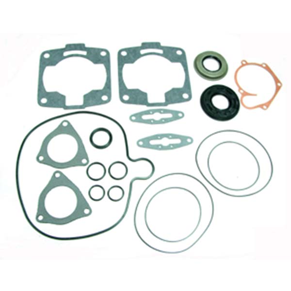 Complete Gasket Kit w/ Oil Seals Polaris 700 SKS/EURO 700cc 2002