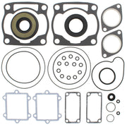 Complete Gasket Kit w/ Oil Seals Arctic Cat Mountain Cat 600 LE 600cc 2001 2002