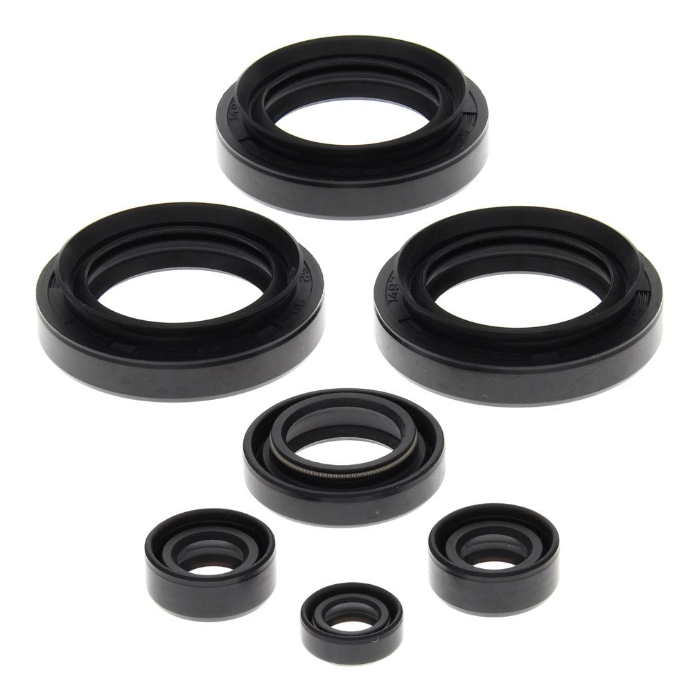 Engine Oil Seal Kit Arctic Cat 300 2x4 300cc 1998 1999 2000 2001 2002 2003 2004