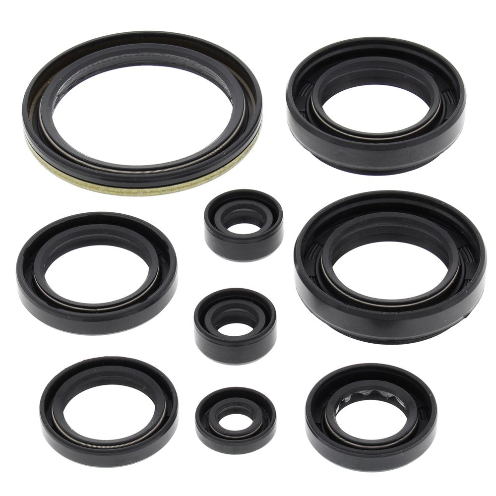 Engine Oil Seal Kit Arctic Cat 500 FIS 4x4 w/AT 500cc 02 03 04 05 06 07 08 09