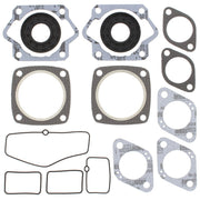 Complete Gasket Kit w/ Oil Seals Moto Ski Futura FC/2 440cc 1977 1978