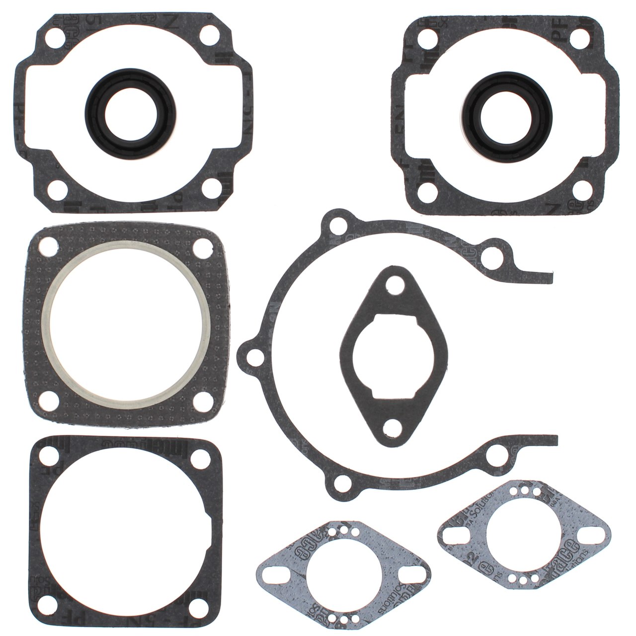 Complete Gasket Kit w/ Oil Seals Moto Ski Spirit FC/1 250cc 1976-1983