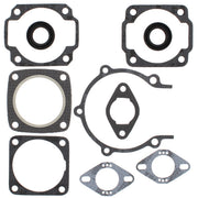 Complete Gasket Kit w/ Oil Seals Moto Ski Spirit FC/1 250cc 1976-1983