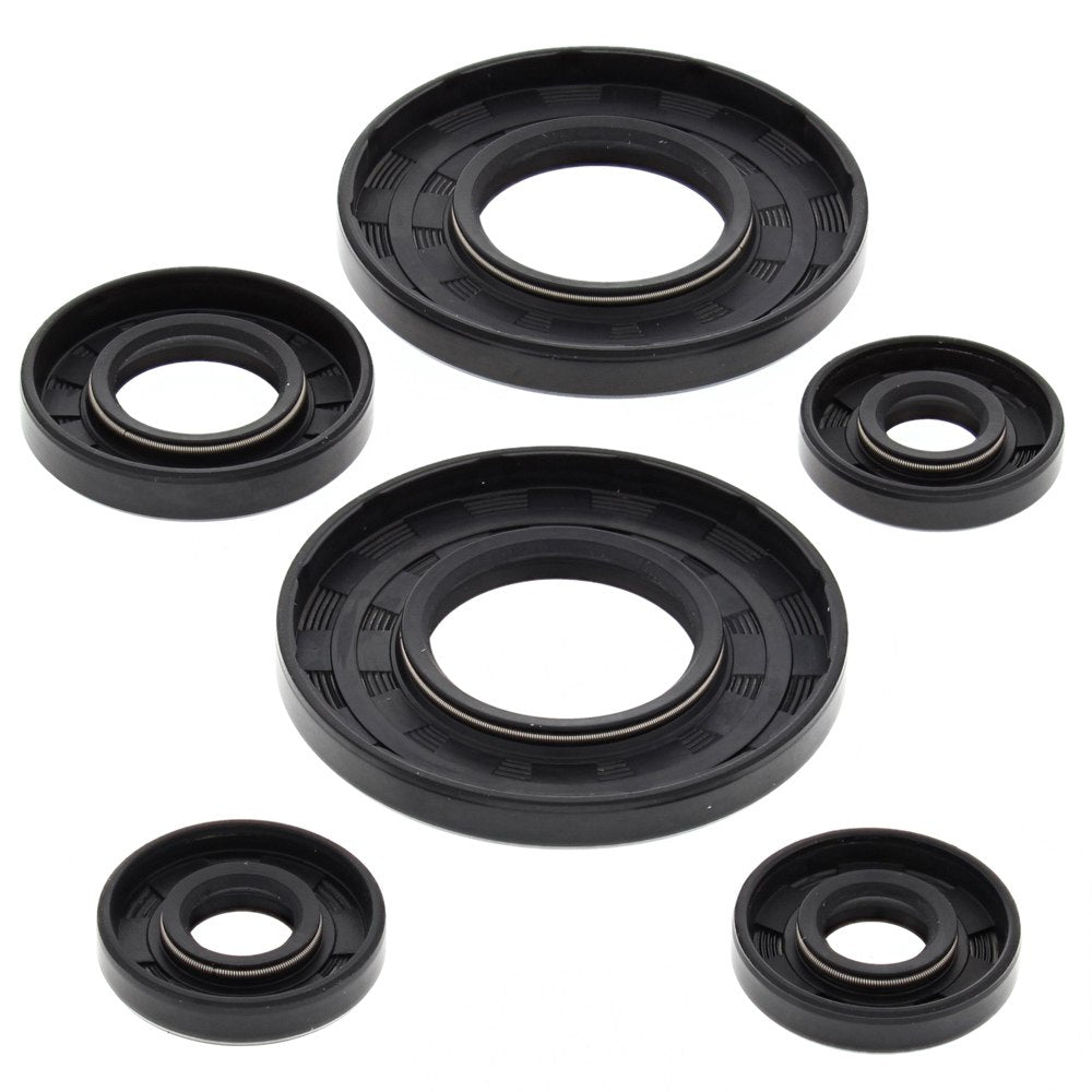 Engine Oil Seal Kit Moto Ski Futura 444 LC/2 440cc 1978 1979