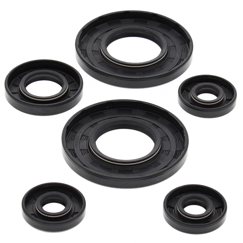Engine Oil Seal Kit Moto Ski Sonic LC/2 462cc 1984