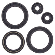Engine Oil Seal Kit Polaris 400L 2x4 400cc 1994 1995