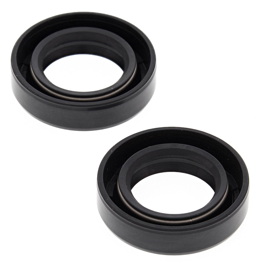 Engine Oil Seal Kit Ski-Doo ELAN FC/1 250cc 1971-1996