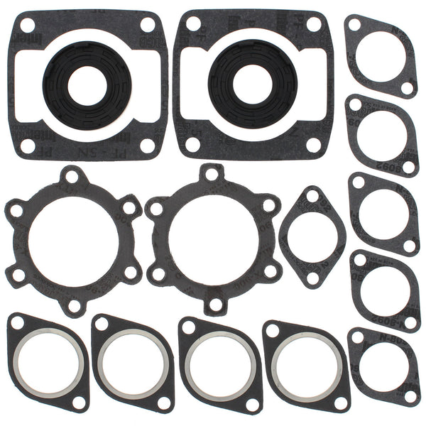 Complete Gasket Kit w/ Oil Seals Arctic Cat PANTHER 4000 440cc 1976 1977 1978