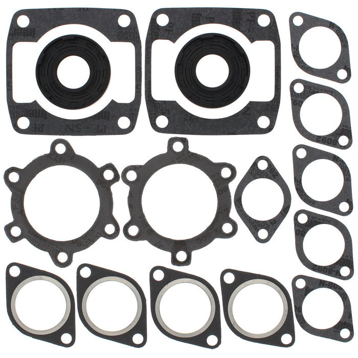 Complete Gasket Kit w/ Oil Seals Arctic Cat PANTHER 4000 440cc 1976 1977 1978
