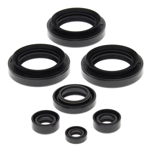 Engine Oil Seal Kit Arctic Cat 300 2x4 300cc 1998 1999 2000 2001 2002 2003 2004
