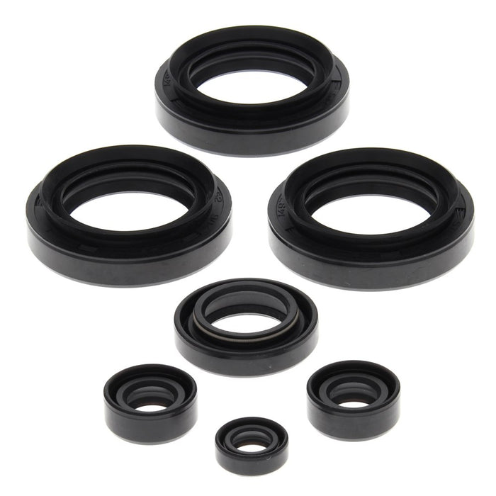 Engine Oil Seal Kit Arctic Cat 300 2x4 300cc 1998 1999 2000 2001 2002 2003 2004