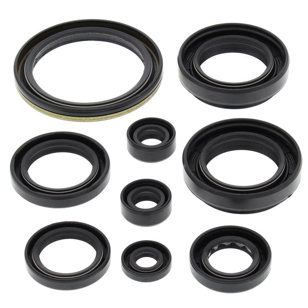 Engine Oil Seal Kit Arctic Cat 500 4x4 w/AT 500cc 2000 2001 2002