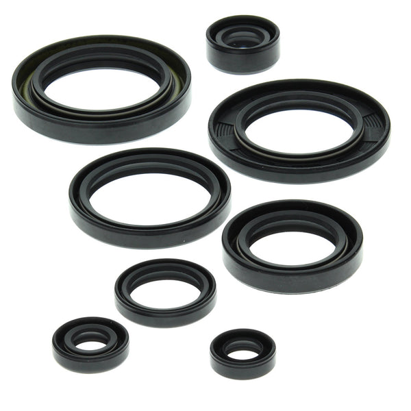 Engine Oil Seal Kit Suzuki LT-500R 500cc 1988 1989 1990