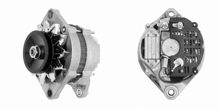 Mahle/Iskra Alternator 120488284, 120489334, 120489335